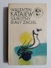 SAMOTNY BIAŁY ŻAGIEL - Walentin Katajew 